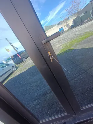 Casa Portátil 38 m²