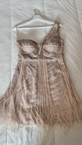 Vestido Rosa Clará invitada plateado