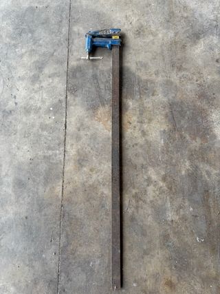 Sargento de carpintero azul