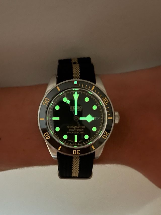 Seiko Mod Black Bay