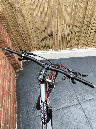 Bicicleta montaña Focus Superbud 26 Talla M