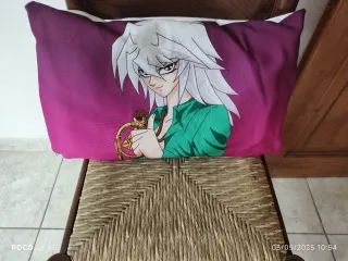 2 Cuscini Sfoderabili