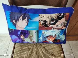 2 Cuscini Sfoderabili