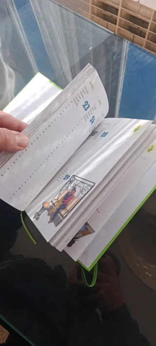 Agenda Los Sims 3 2011 Sin Usar