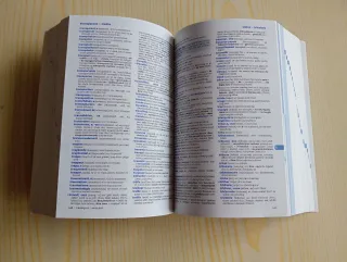 Le Robert & Collins Maxi anglais