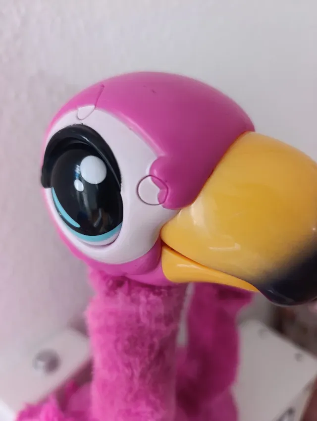 Flamencos parlantes rosa