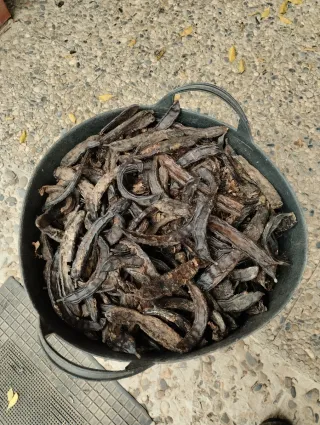 Algarrobas para pienso de caballo a O,10 cm/kg