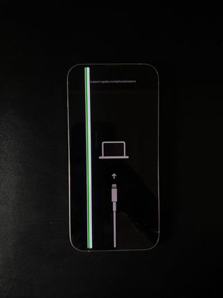 iPhone 13 Pro Max 256GB Plata - Piezas