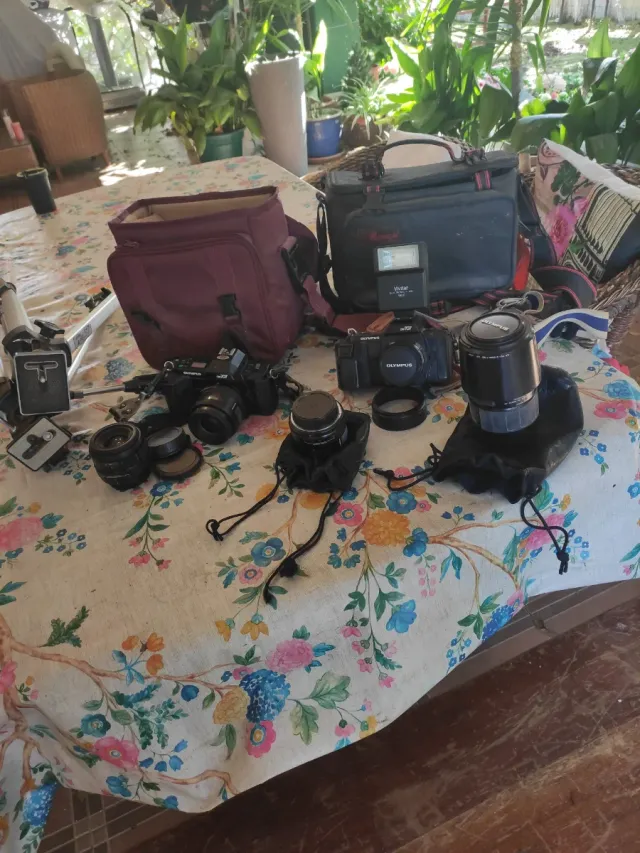 Câmeras Olympus com acessórios