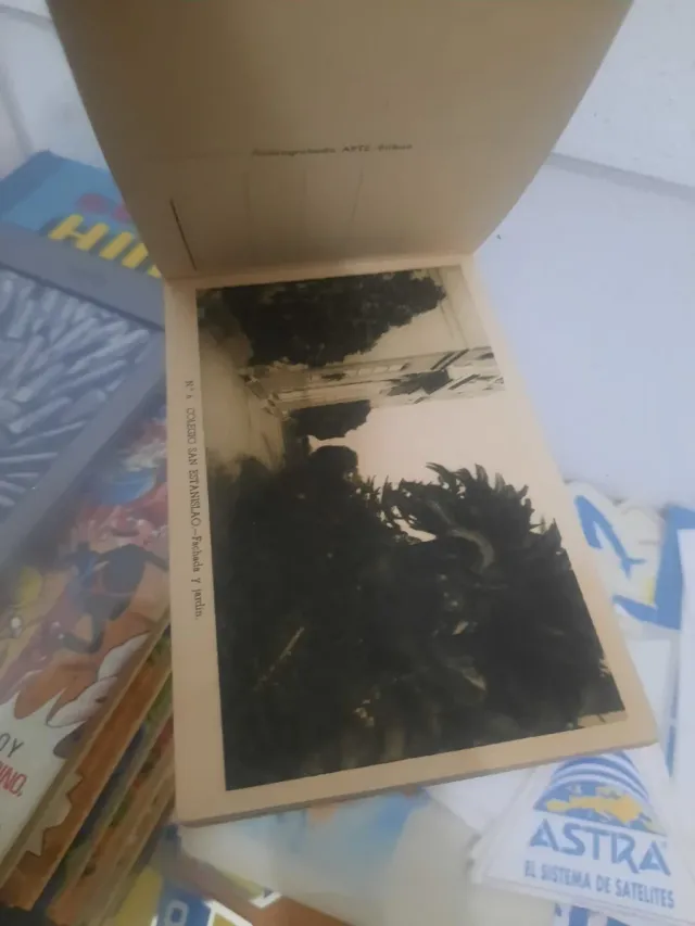 Colección Fotos Colegio San Estanislao Málaga