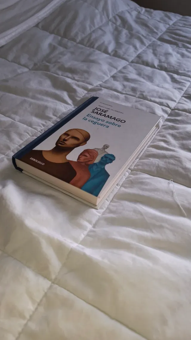 Ensayo sobre la ceguera