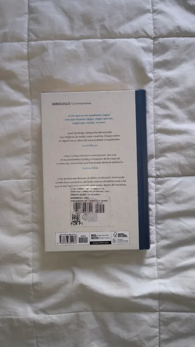 Ensayo sobre la ceguera