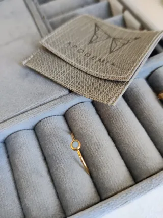 Anillo Apodemia bañado en oro 18k