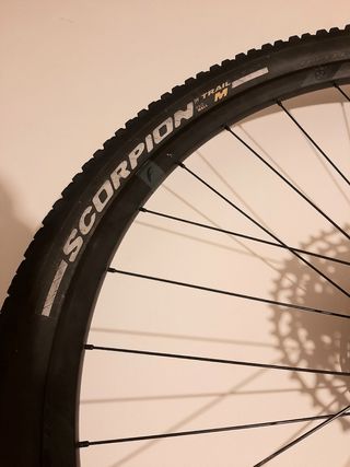 Rueda trasera Fulcrum Red Zone 99 Llanta 29