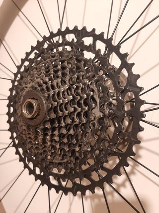 Rueda trasera Fulcrum Red Zone 99 Llanta 29