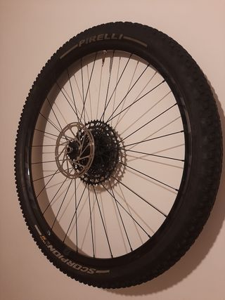 Rueda trasera Fulcrum Red Zone 99 Llanta 29