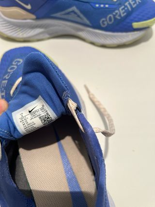 Zapatilla Nike Pegasus Trail Gore-Tex Azul