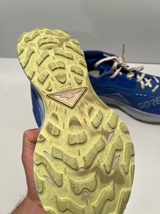 Zapatilla Nike Pegasus Trail Gore-Tex Azul