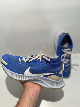Zapatilla Nike Pegasus Trail Gore-Tex Azul