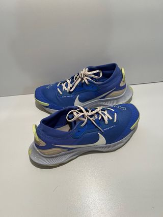 Zapatilla Nike Pegasus Trail Gore-Tex Azul