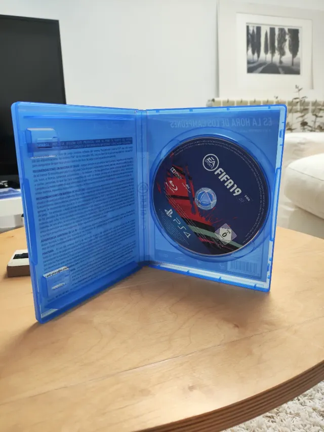 FIFA 19 PS4 (PlayStation 4)