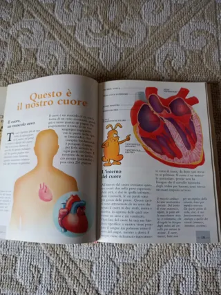 I segreti del corpo umano