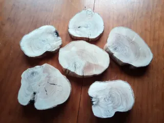 Rodajas de madera