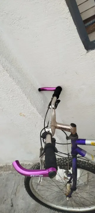 Bicicleta Morada y Plateada