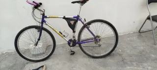 Bicicleta Morada y Plateada