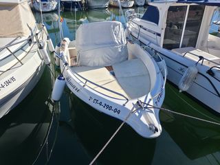 Quicksilver 550 Commander