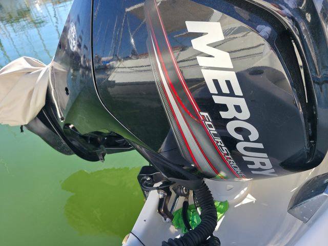 Quicksilver 550 Commander