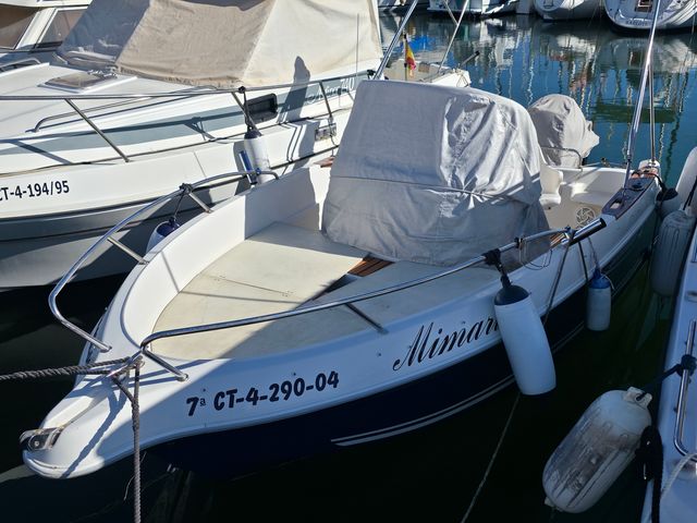 Quicksilver 550 Commander