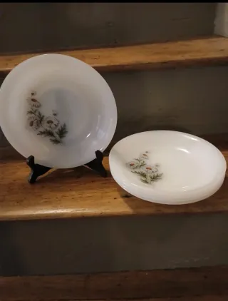 Platos Llanos postre Arcopal Margaritas