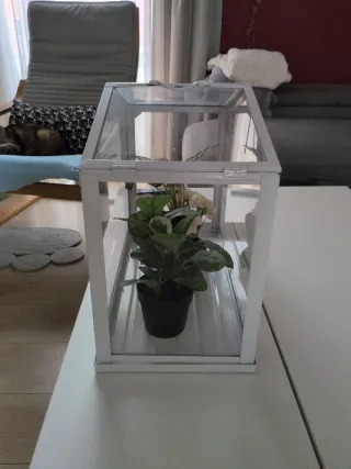 Mini invernadero cristal y metal