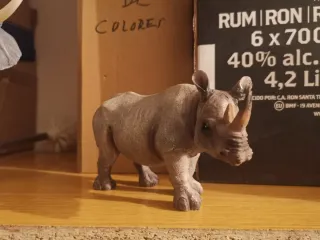 Figura Rinoceronte