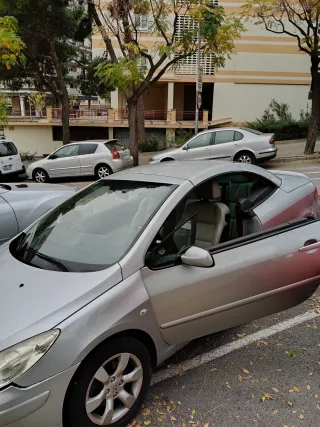Peugeot 307 2006