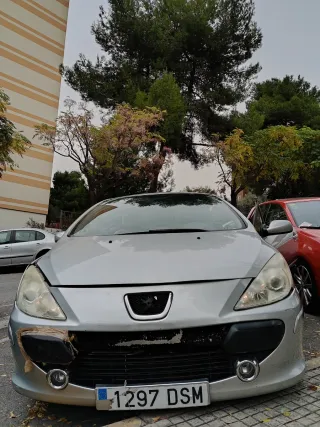 Peugeot 307 2006