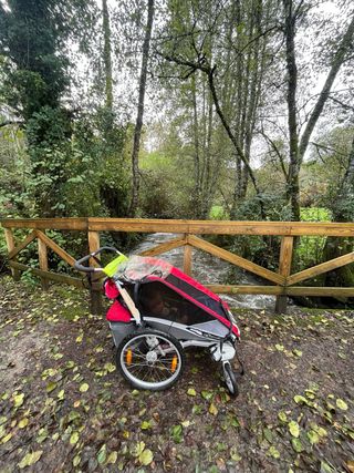 Carrinho Chariot Cougar 1