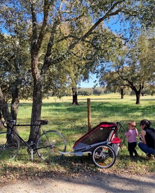 Carrinho Chariot Cougar 1