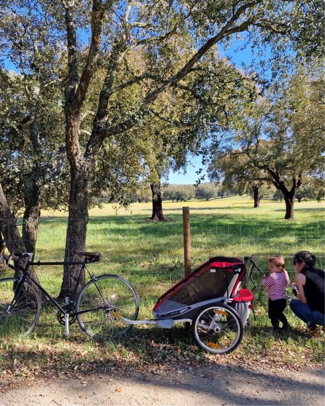 Carrinho Chariot Cougar 1