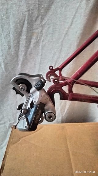 Cuadro Kona Kilauea tange Prestige