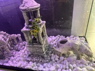 Acuario 100 Litros con Decoración