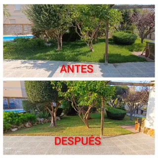 SERVICIO DE JARDINERÍA (MAS ROMEU)