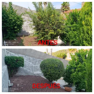 SERVICIO DE JARDINERÍA (MAS ROMEU)