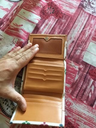 Portafoglio Louis Vuitton Marrone