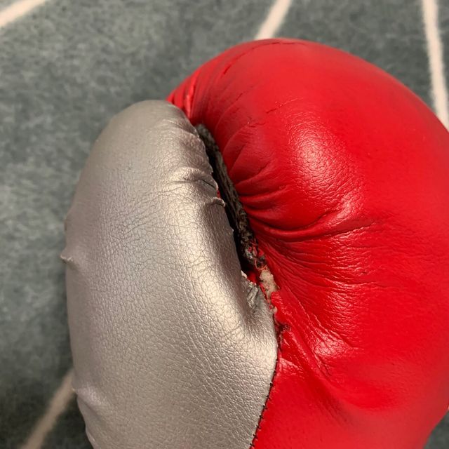 Rude Boys guantes Muai Thai 14oz