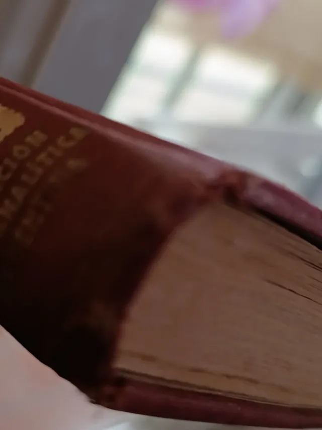 Neurosis frecuentes en los niños y en los adultos