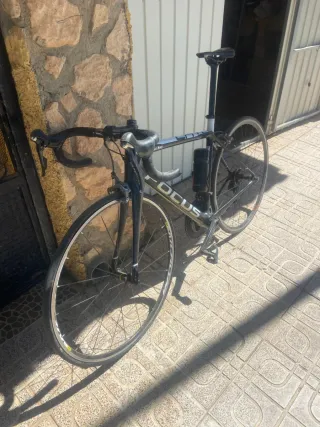Bicicleta de carretera Focus