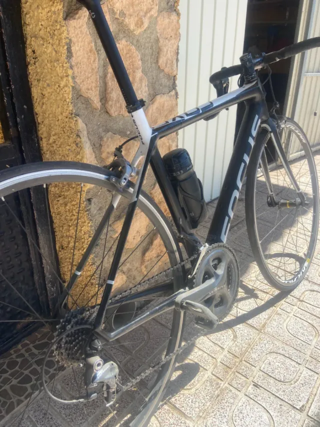 Bicicleta de carretera Focus