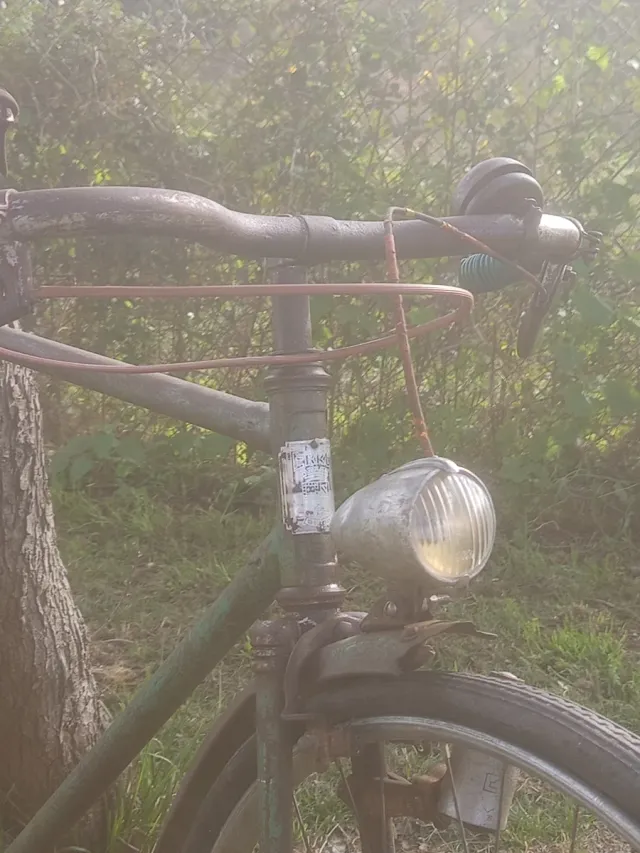 Bici Terrot Francesa Años 30